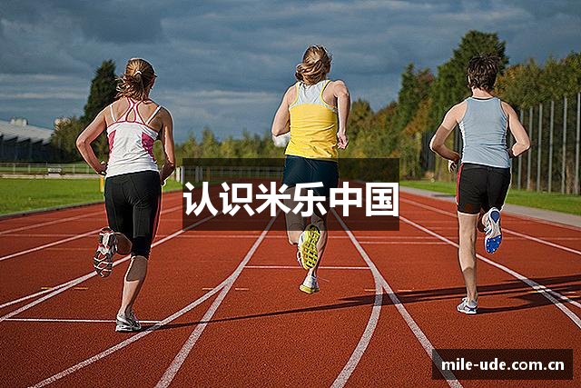 认识米乐中国